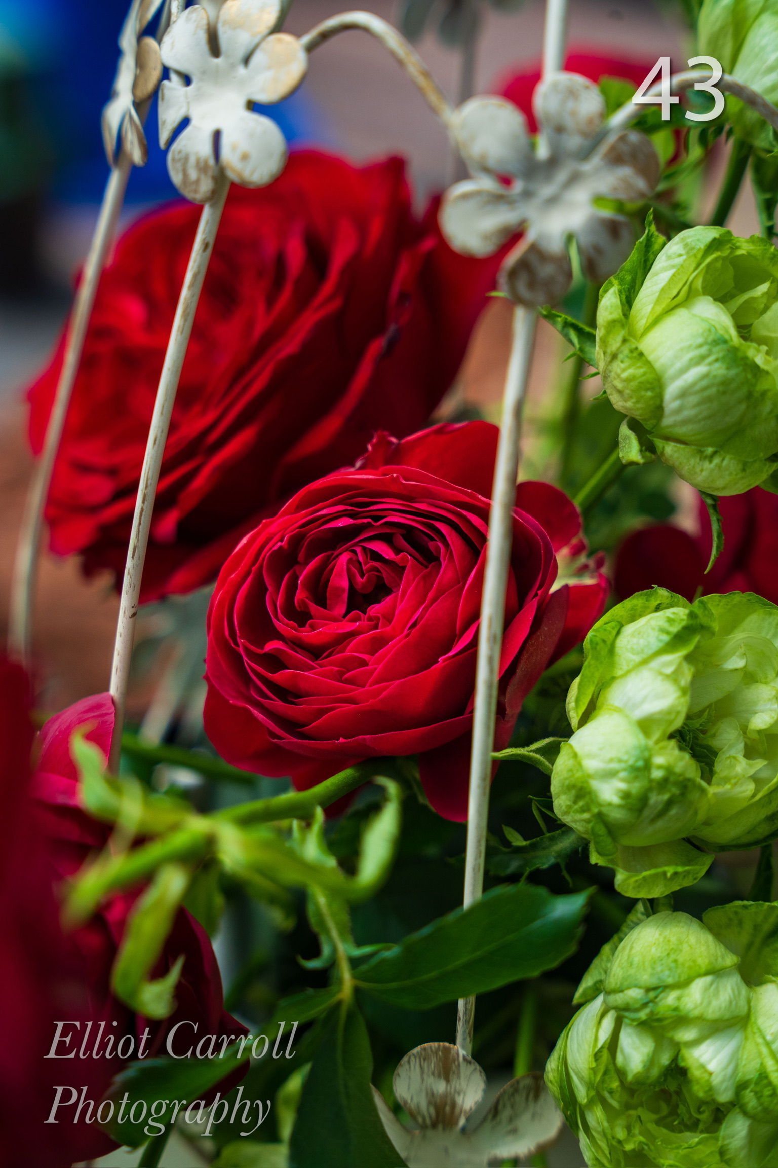 RoseBasketWeb-Watermarked.jpg